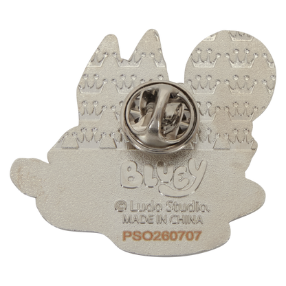 Bluey mystery pin box