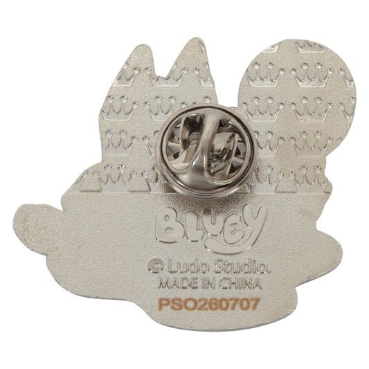 Bluey mystery pin box