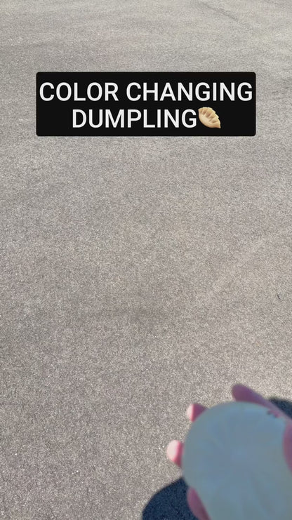 Squishy Color Changing Dumpling Toy Fun Doh